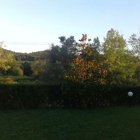 Georgia Poseidi